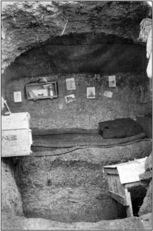 Иллюстрация к книге — Дарданеллы 1915: Самое кровавое поражение Черчилля [i_245.jpg]