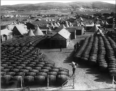 Иллюстрация к книге — Дарданеллы 1915: Самое кровавое поражение Черчилля [i_278.jpg]