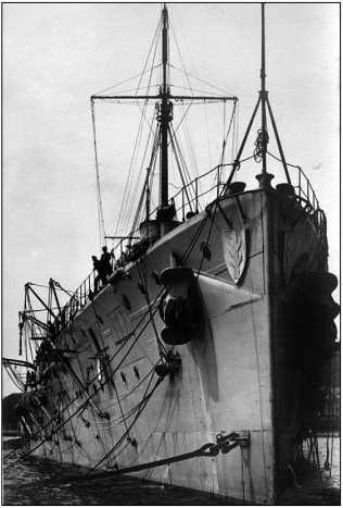 Иллюстрация к книге — Дарданеллы 1915: Самое кровавое поражение Черчилля [i_307.jpg]