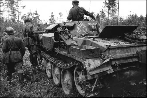 Иллюстрация к книге — Танки Блицкрига Pz.I и Pz.II [i_108.jpg]