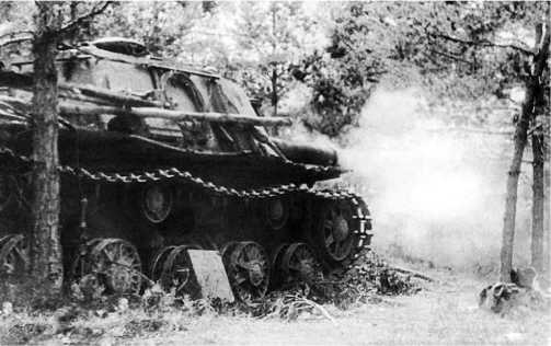 Иллюстрация к книге — «Зверобои». Убийцы «Тигров» [i_058.jpg]