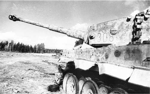 Иллюстрация к книге — «Зверобои». Убийцы «Тигров» [i_059.jpg]