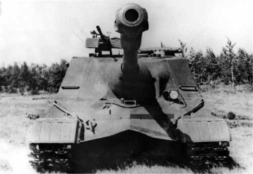 Иллюстрация к книге — «Зверобои». Убийцы «Тигров» [i_152.jpg]