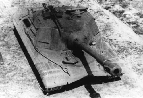 Иллюстрация к книге — «Зверобои». Убийцы «Тигров» [i_154.jpg]