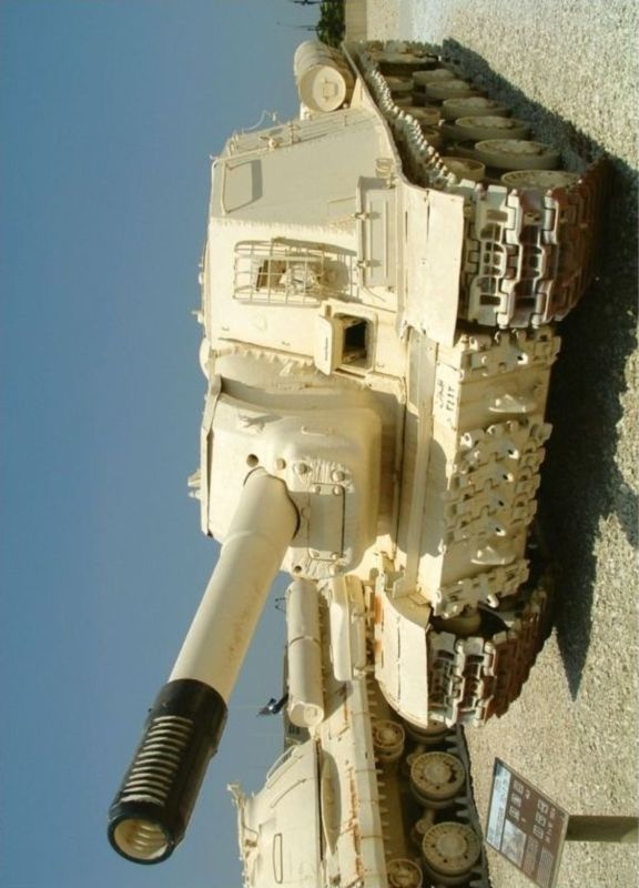 Иллюстрация к книге — «Зверобои». Убийцы «Тигров» [i_170.jpg]