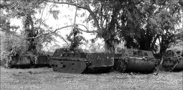 Иллюстрация к книге — Десантные амфибии Второй Мировой [i_132.jpg]