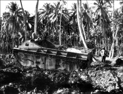 Иллюстрация к книге — Десантные амфибии Второй Мировой [i_133.jpg]