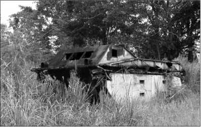 Иллюстрация к книге — Десантные амфибии Второй Мировой [i_134.jpg]