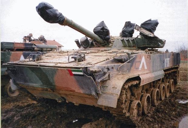 Иллюстрация к книге — Боевые машины пехоты БМП-1, БМП-2 и БМП-3: «Братская могила пехоты» или супероружие [i_091.jpg]