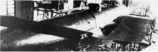 Иллюстрация к книге — Экспериментальные самолёты России. 1912-1941 гг. [i_218.jpg]