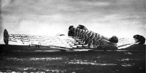 Иллюстрация к книге — Экспериментальные самолёты России. 1912-1941 гг. [i_241.jpg]