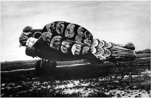 Иллюстрация к книге — Экспериментальные самолёты России. 1912-1941 гг. [i_242.jpg]