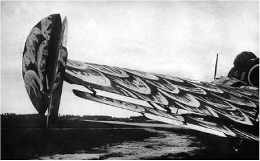 Иллюстрация к книге — Экспериментальные самолёты России. 1912-1941 гг. [i_243.jpg]