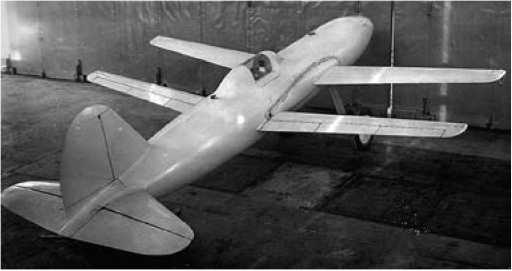 Иллюстрация к книге — Экспериментальные самолёты России. 1912-1941 гг. [i_322.jpg]