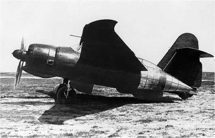 Иллюстрация к книге — Экспериментальные самолёты России. 1912-1941 гг. [i_338.jpg]