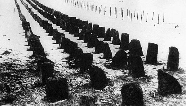 Иллюстрация к книге — Средний танк Т-28. Трёхглавый монстр Сталина [i_110.jpg]