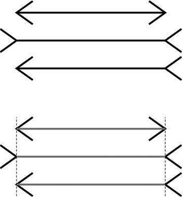 Иллюстрация к книге — Максимальный репост. Как соцсети заставляют нас верить фейковым новостям [i_001.jpg]