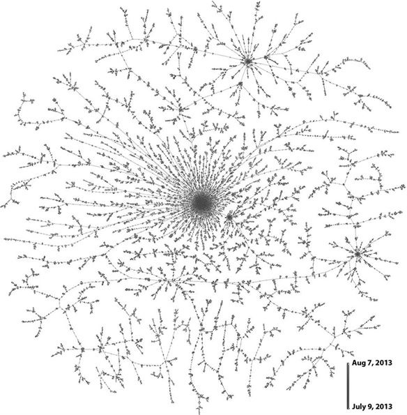 Иллюстрация к книге — Максимальный репост. Как соцсети заставляют нас верить фейковым новостям [i_002.jpg]