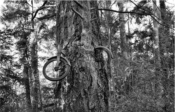 Иллюстрация к книге — Максимальный репост. Как соцсети заставляют нас верить фейковым новостям [i_003.jpg]