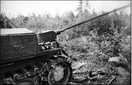 Иллюстрация к книге — Танки III Рейха. Том I [i_147.jpg]