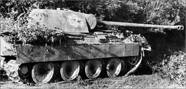 Иллюстрация к книге — Танки III Рейха. Том II [i_298.jpg]