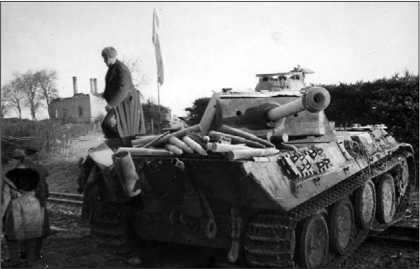 Иллюстрация к книге — Танки III Рейха. Том II [i_317.jpg]