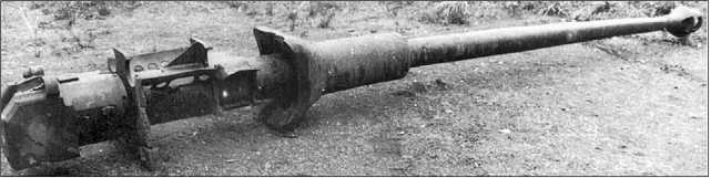 Иллюстрация к книге — Танки III Рейха. Том III [i_170.jpg]