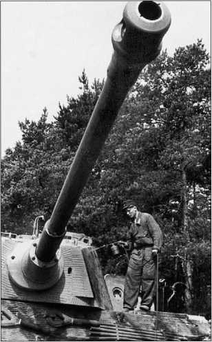 Иллюстрация к книге — Танки III Рейха. Том III [i_197.jpg]