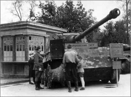 Иллюстрация к книге — Танки III Рейха. Том III [i_227.jpg]