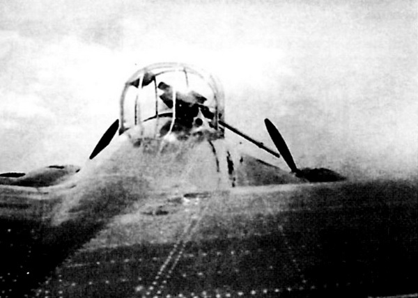 Иллюстрация к книге — Дальний бомбардировщик Ер-2. Самолет несбывшихся надежд [i_029.jpg]