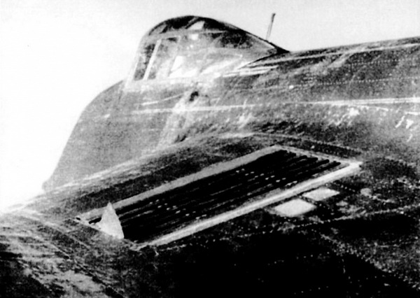 Иллюстрация к книге — Дальний бомбардировщик Ер-2. Самолет несбывшихся надежд [i_105.jpg]