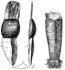 Иллюстрация к книге — Мифы и легенды австралийских аборигенов [i_005.jpg]