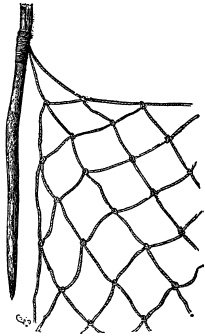 Иллюстрация к книге — Мифы и легенды австралийских аборигенов [i_020.jpg]