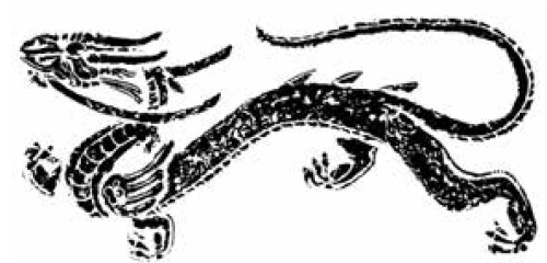 Иллюстрация к книге — 200 мифов народов мира [i_041.jpg]