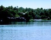 Иллюстрация к книге — Фивы [img1b22.jpg]