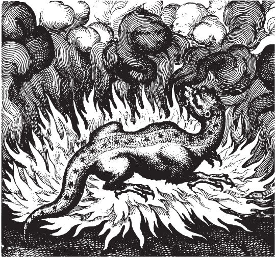 Иллюстрация к книге — Танцы с драконами. Мифы и легенды [i_065.jpg]