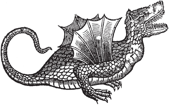 Иллюстрация к книге — Танцы с драконами. Мифы и легенды [i_068.jpg]