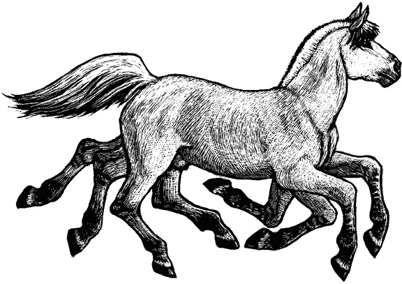 Иллюстрация к книге — Мифологические существа народов мира. Магические свойства и возможности взаимодействия [i_008.jpg]