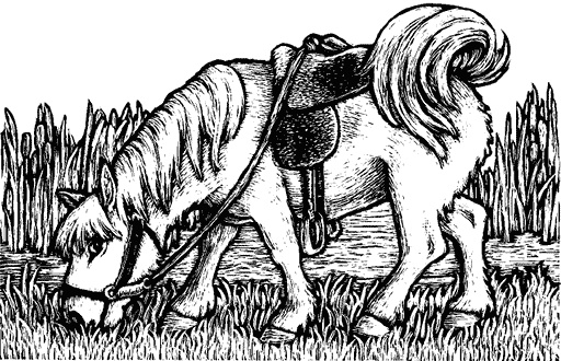 Иллюстрация к книге — Мифологические существа народов мира. Магические свойства и возможности взаимодействия [i_014.jpg]