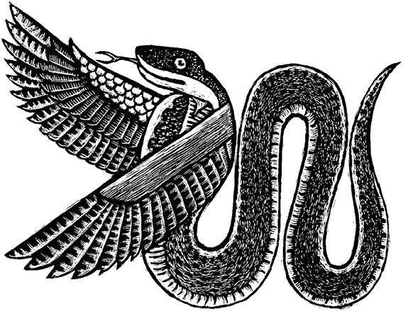 Иллюстрация к книге — Мифологические существа народов мира. Магические свойства и возможности взаимодействия [i_050.jpg]