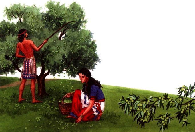 Иллюстрация к книге — Древний Крит [i_005.jpg]