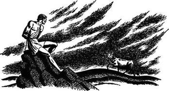 Иллюстрация к книге — Мифы и легенды Греции и Рима [i_010.jpg]