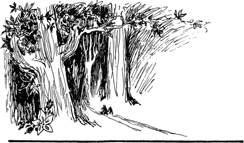 Иллюстрация к книге — Маленькие тролли и большое наводнение [i_004.jpg]