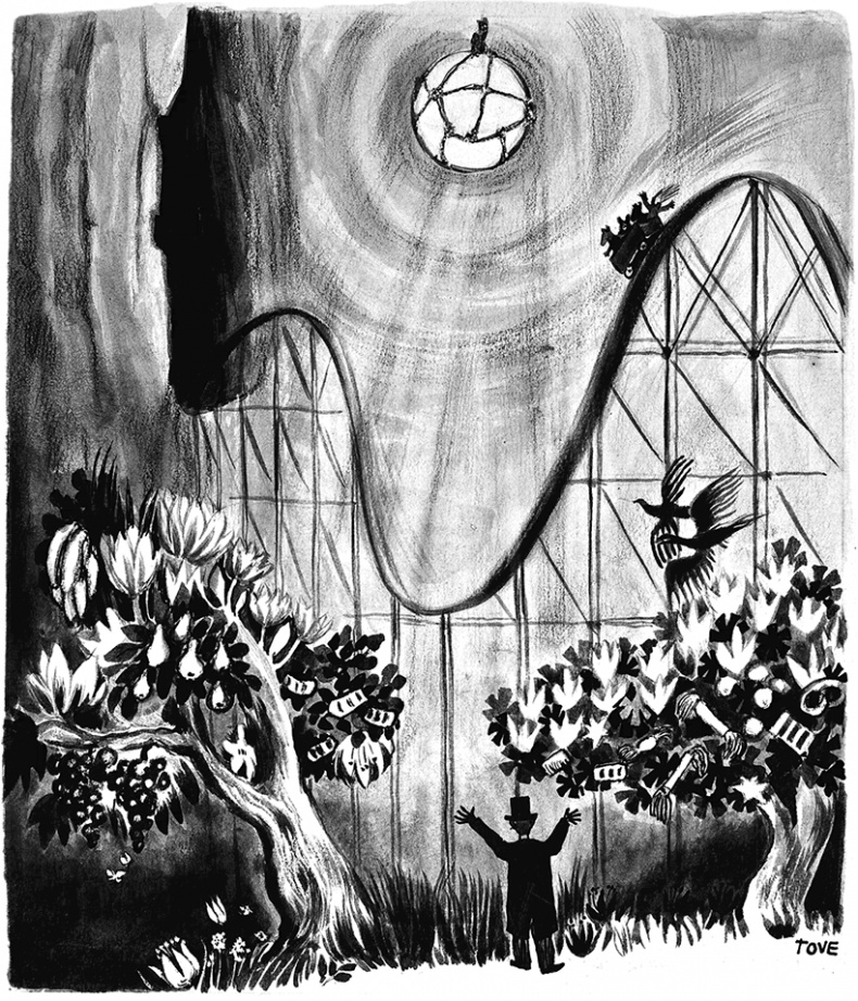 Иллюстрация к книге — Маленькие тролли и большое наводнение [i_020.jpg]