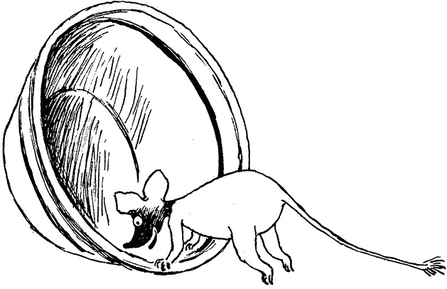 Иллюстрация к книге — Маленькие тролли и большое наводнение [i_032.jpg]