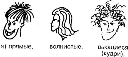 Иллюстрация к книге — Самоучитель по развитию памяти (техника скоростного запоминания) [i_076.jpg]