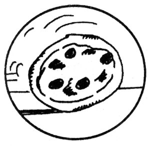 Иллюстрация к книге — Самоучитель по развитию памяти (техника скоростного запоминания) [i_130.jpg]