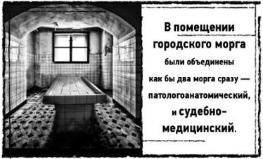 Иллюстрация к книге — Тень «Райского сада» [i_014.jpg]