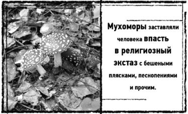 Иллюстрация к книге — Тень «Райского сада» [i_023.jpg]