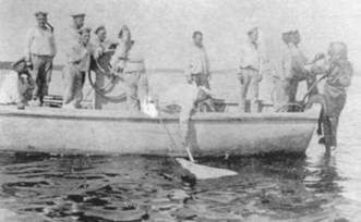 Иллюстрация к книге — Линейный корабль "Император Павел I" (1906 – 1925) [pic_33.jpg]